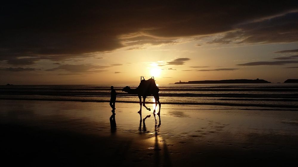 Essaouira coucher de soleil d’hiver